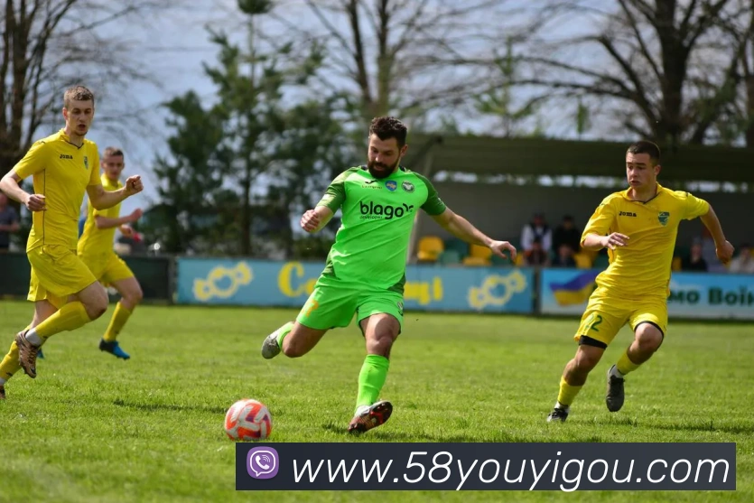 九游最新网站平台生态图