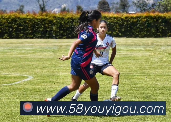 九游最新网站全站App